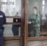 40-летнюю Ульяну Ланскую из Вологды, которая убила 9-летнюю девочку, отправили в СИЗО - News-Kmv.ru